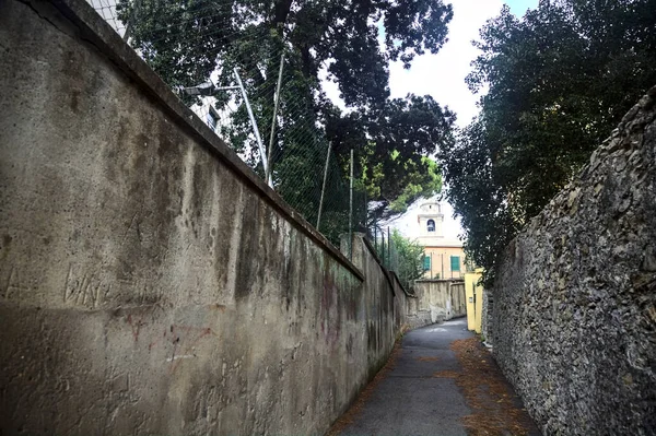 多云的日子里 石墙与植物和树木之间小巷的入口 — 图库照片