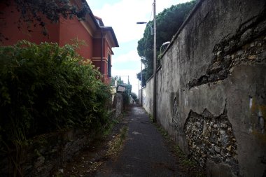 Bulutlu bir günde, ağaçlar ve bitkilerle dolu taş duvarlar arasında bir ara sokağın girişinde.