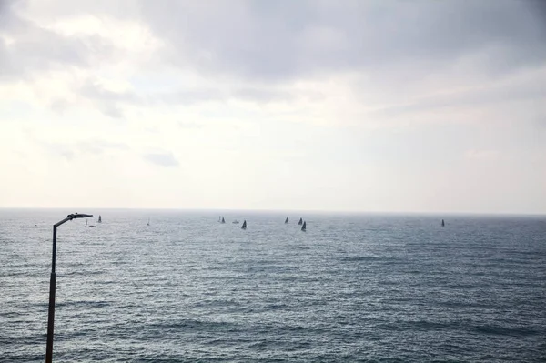 Mar Con Veleros Distancia Día Nublado — Foto de Stock