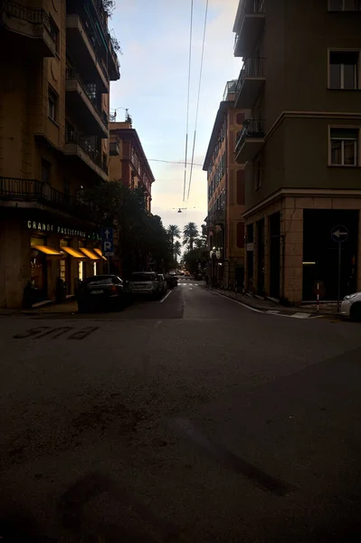 商店街を下り 日没の曇りの日に町の木に囲まれる — ストック写真