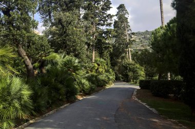 Her iki tarafında ağaçlar ve bitkiler olan bir parkta gölgede çakıl yolu.