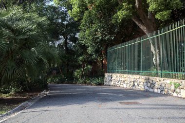 Yeşil çitle çevrili bir parkta yol