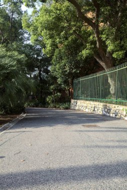 Yeşil çitle çevrili bir parkta yol