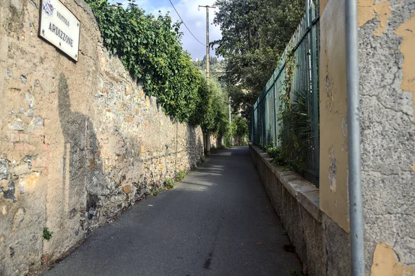 一条狭窄的街道 两边都有石墙和植物围栏 — 图库照片