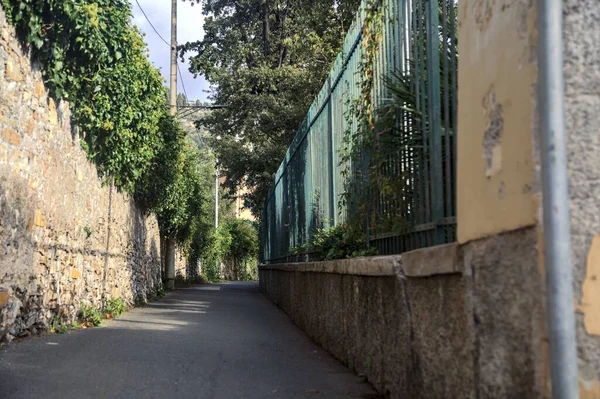Narrow Street Bordered Stone Wall Fence Plants Both Sides — Stock Photo, Image