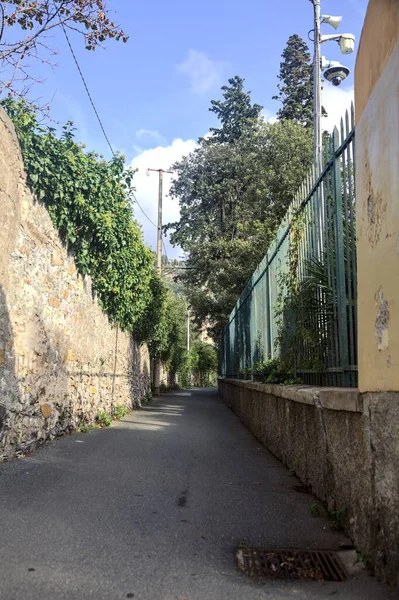 石の壁に囲まれた狭い通りと両側に植物とフェンス — ストック写真