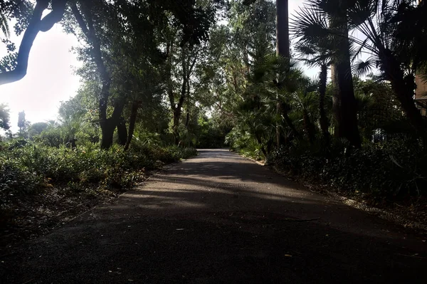 Caminho Cascalho Sombra Parque Com Árvores Plantas Ambos Lados — Fotografia de Stock
