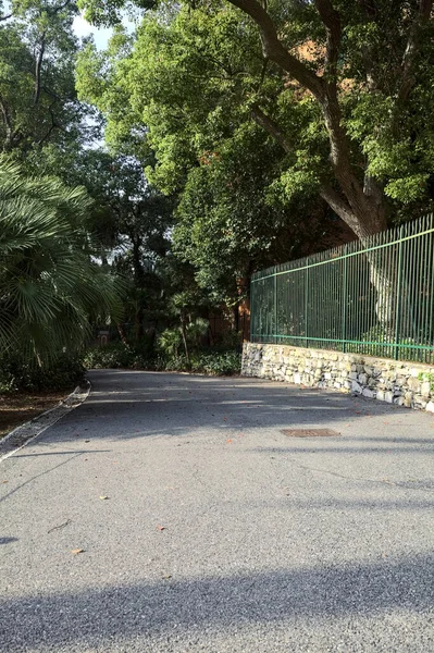 緑の柵に囲まれた公園内の道 — ストック写真