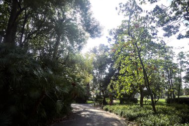 Her iki tarafında ağaçlar ve bitkiler olan bir parkta gölgede çakıl yolu.