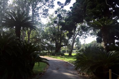 Her iki tarafında ağaçlar ve bitkiler olan bir parkta gölgede çakıl yolu.