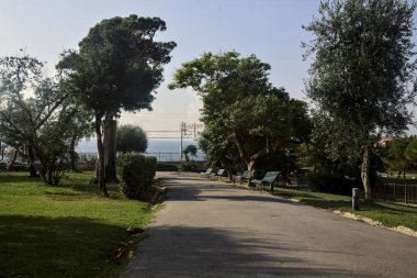 Güneşli bir günde, deniz kenarındaki ağaçlarla çakıl yolu.