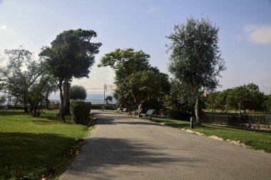 Güneşli bir günde, deniz kenarındaki ağaçlarla çakıl yolu.