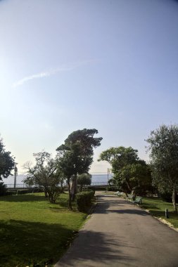 Güneşli bir günde, deniz kenarındaki ağaçlarla çakıl yolu.