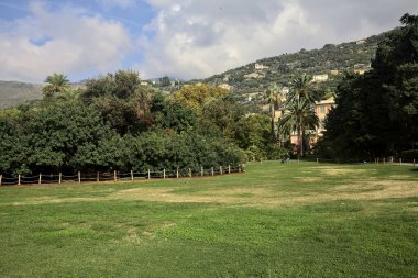 Deniz kenarındaki bir parkta, üzerinde farklı çam türleri olan açık bir alan.