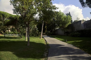 Her iki tarafında ağaçlar ve bitkiler olan bir parkta gölgede çakıl yolu.