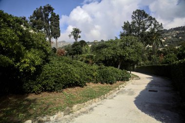 Güneşli bir günde parkta çalılarla çevrili çakıl taşları yolu.