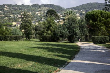 Güneşli bir günde parkta çalılarla çevrili çakıl taşları yolu.