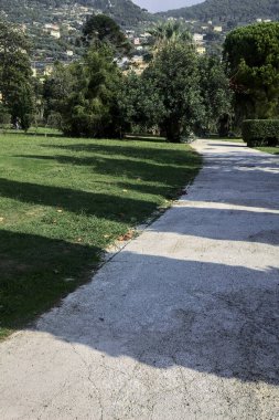 Güneşli bir günde parkta çalılarla çevrili çakıl taşları yolu.