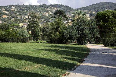 Güneşli bir günde parkta çalılarla çevrili çakıl taşları yolu.