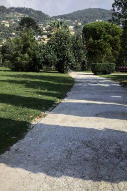 Güneşli bir günde parkta çalılarla çevrili çakıl taşları yolu.