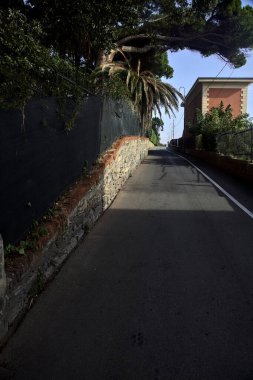 Çitlerle çevrili yokuş yukarı bir sokak ve üzerinde bir ağaç var.