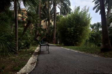 Bir parkın gölgeli yolunda bankta