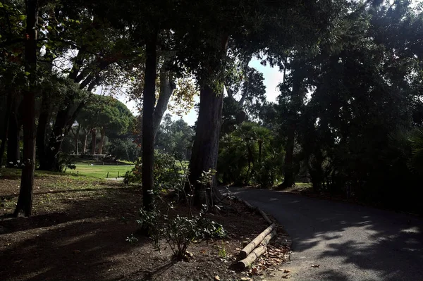 晴れた日には公園内の木々や広場の隣の道 — ストック写真
