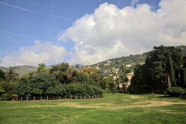 stock image Open space in a park by the sea with different species of pine on it