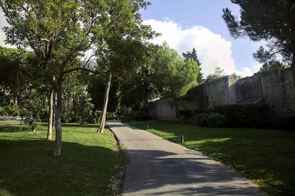 stock image Gravel path in the shade in a park with trees and plants on both sides