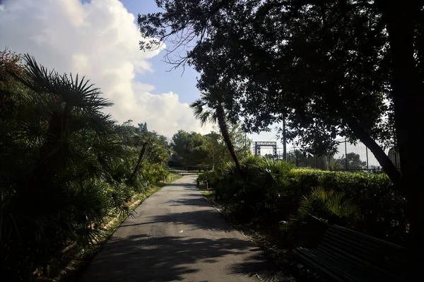 Schotterweg Schatten Einem Park Mit Bäumen Und Pflanzen Auf Beiden — Stockfoto