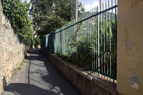 石の壁に囲まれた狭い通りと両側に植物とフェンス — ストック写真