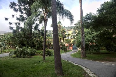 Ağaçlarla çevrili açık bir parktaki eski bir malikane ve güneşli bir günde yol.