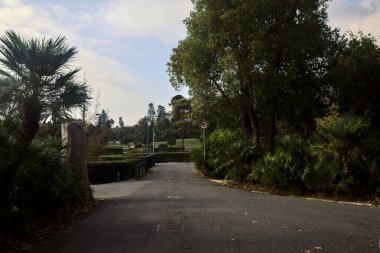 Bulutlu bir günde parkın sonunda küçük bir köprü olan yol