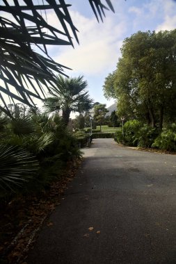 Bulutlu bir günde parkın sonunda küçük bir köprü olan yol