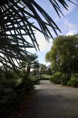 Bulutlu bir günde parkın sonunda küçük bir köprü olan yol
