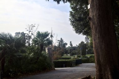 Bulutlu bir günde parkın sonunda küçük bir köprü olan yol