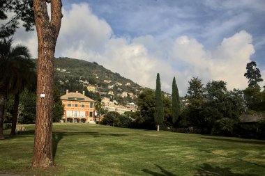 Ağaçlarla çevrili açık bir parktaki eski bir malikane ve güneşli bir günde yol.
