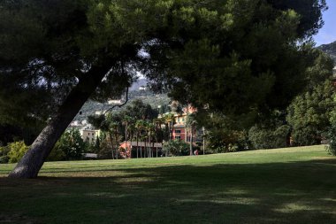 Ağaçlarla çevrili açık bir parktaki eski bir malikane ve güneşli bir günde yol.