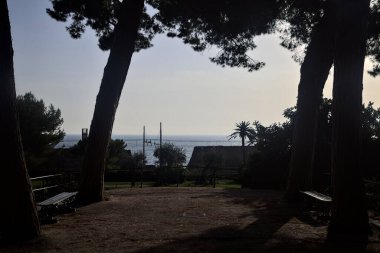 Deniz kenarındaki bir parkta deniz çamlarıyla çevrili bankları olan teras.