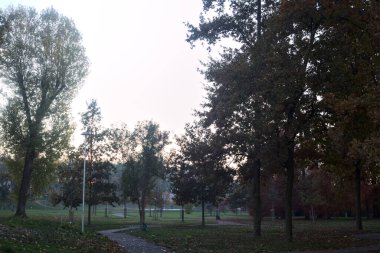 Sonbaharda gün batımında gölün yanındaki parkta izler.