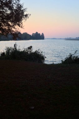 Gün batımında bir ağaç ve sazlıklar tarafından çerçevelenmiş ufukta uzanan bir kıyı ile nehir.