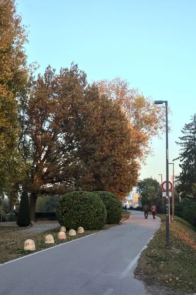 Nsanlar Sonbaharda Gün Batımında Ağaçların Yanında Yürür — Stok fotoğraf