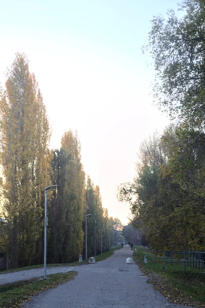Sonbaharda Gün Batımında Parkta Yaya Caddesi — Stok fotoğraf