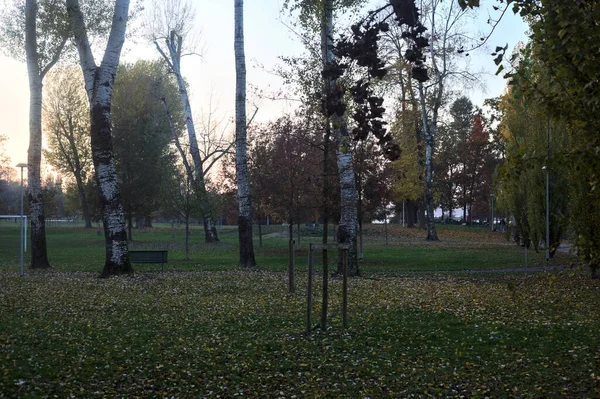 Szlaki Parku Nad Jeziorem Zachodzie Słońca Jesienią — Zdjęcie stockowe