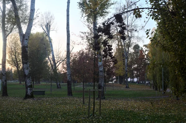 Wanderwege Einem Park Neben Einem See Bei Sonnenuntergang Herbst — Stockfoto