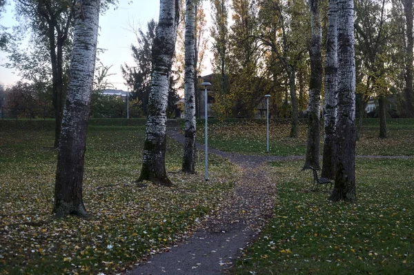 Spår Park Intill Sjö Vid Solnedgången Hösten — Stockfoto