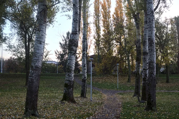 가을이 공원에서의 — 스톡 사진