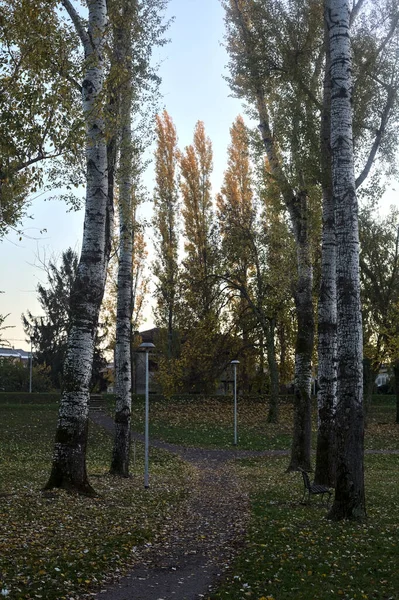 가을이 공원에서의 — 스톡 사진