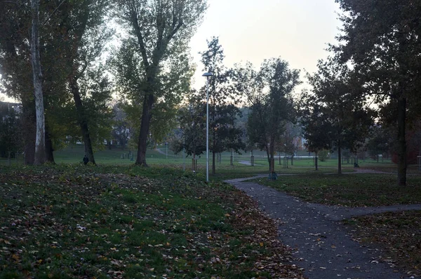 秋の夕日の湖の隣の公園内の歩道 — ストック写真