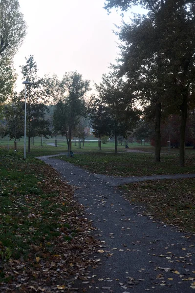 stock image Trails in a park next to a lake at sunset in autumn